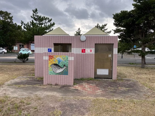 Public toilets with whales